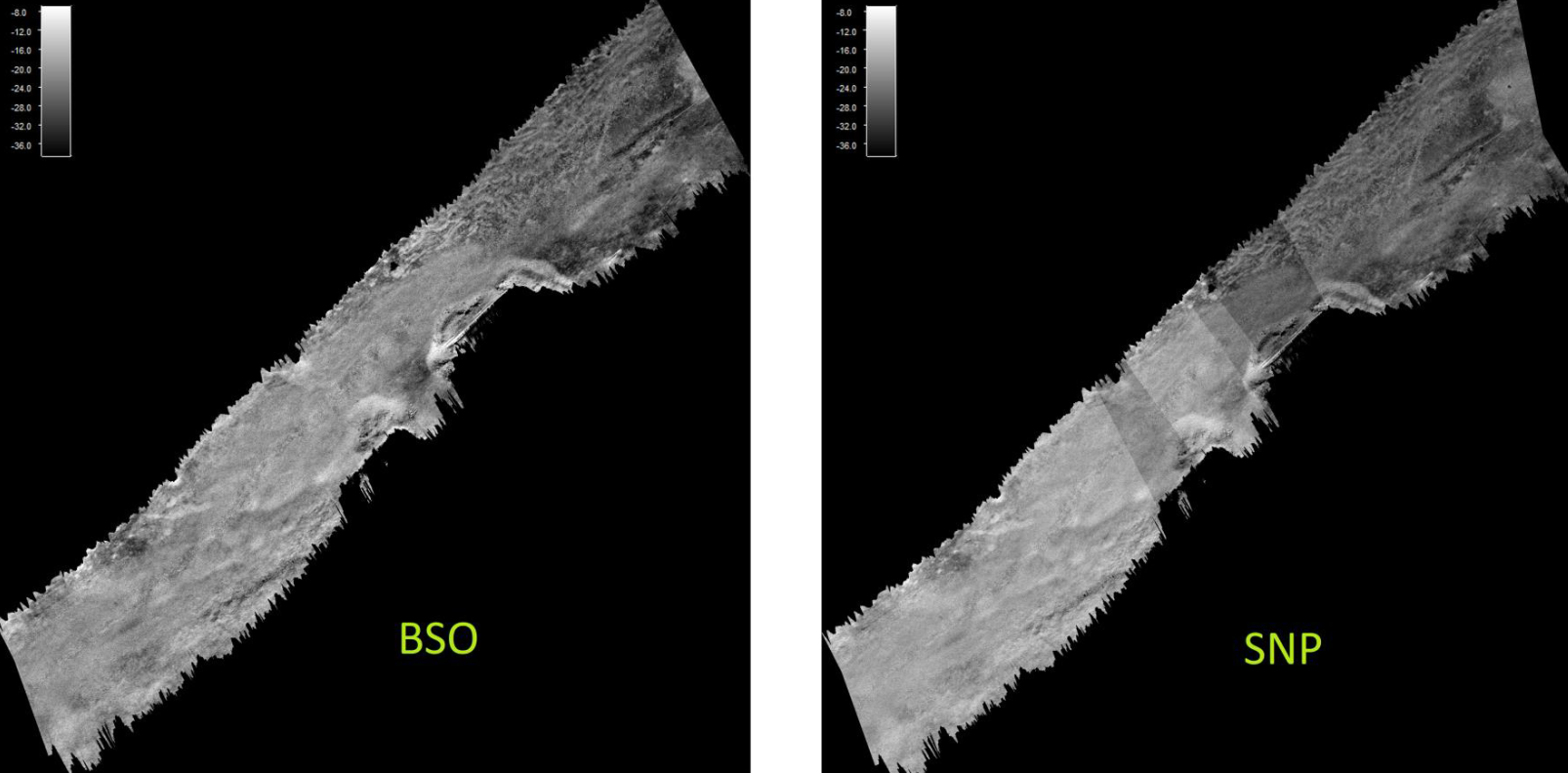 Vergleich von NORBIT BSO und relativen Backscatter-Daten